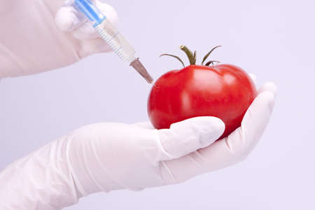 Geneticly Modified Fruitsの写真素材