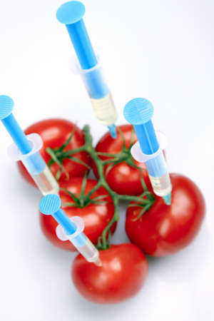 Laboratory fruitsの写真素材