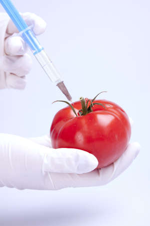 Laboratory fruitsの写真素材
