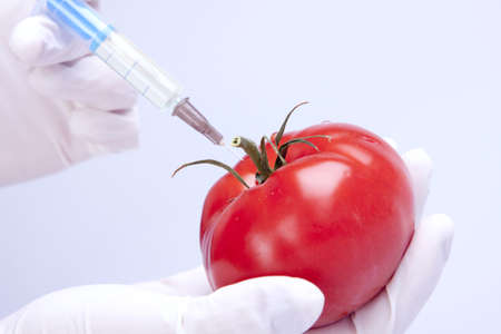 Laboratory fruits