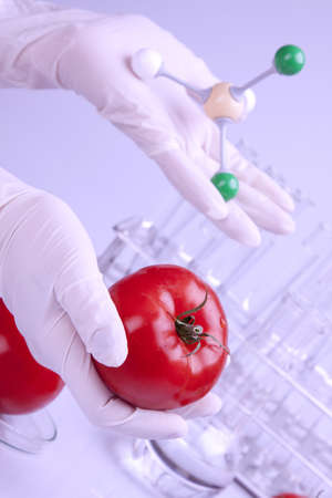 Genetic modification on fruitsの写真素材
