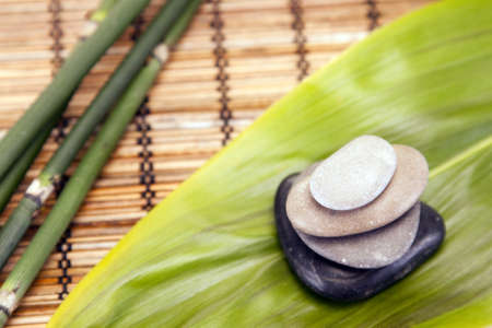 Spa and beauty!の写真素材