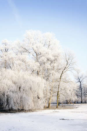 Winter park!