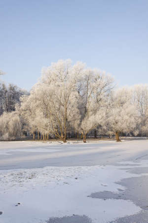 Winter park の写真素材