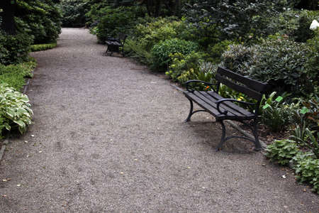 Park Alleyの写真素材