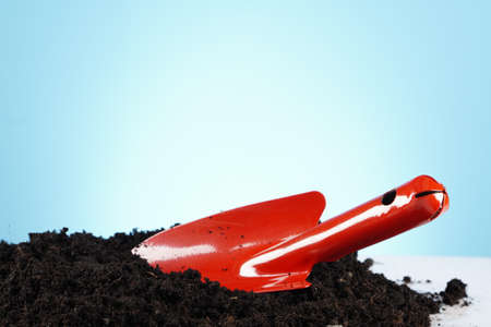 Gardening conceptの写真素材