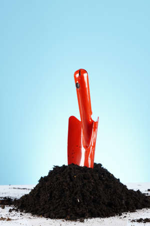 Gardening conceptの写真素材