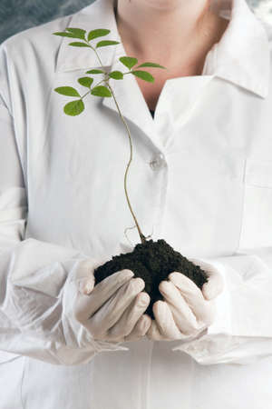 Experiments on plants