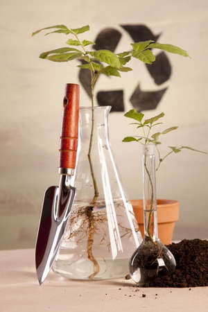 Experiments on plantsの写真素材