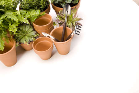 Flowers and garden toolsの写真素材