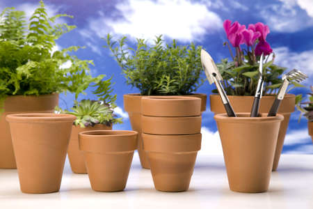 Flowers and garden toolsの写真素材