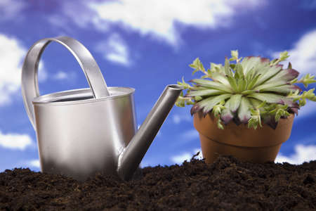 Flowers and garden toolsの写真素材