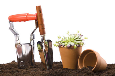 Flowers and garden toolsの写真素材