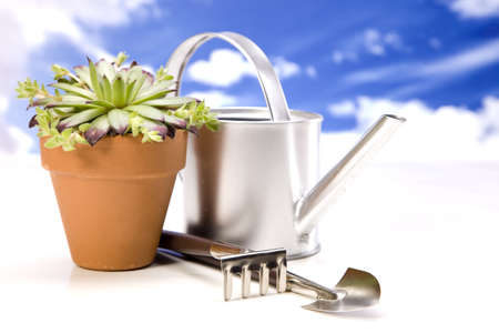 Flowers and garden tools on sky backgroundの写真素材