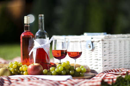 Fresh food from picninc basket in the garden!の写真素材