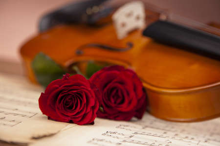Violin, music, love and extasy  Everything for valentinesの写真素材