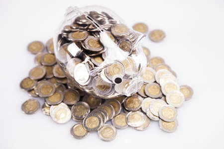 Savings in piggy bank  A lot of money  Isolated on white background の写真素材