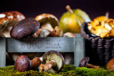 Fresh mushrooms, corn and pumpkin  fall food on wooden tableの写真素材