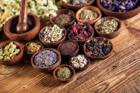 The ancient Chinese medicine, herbs and infusionsの写真素材