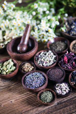 The ancient Chinese medicine, herbs and infusionsの写真素材