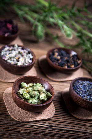 The ancient Chinese medicine, herbs and infusions. Natural flowersの写真素材
