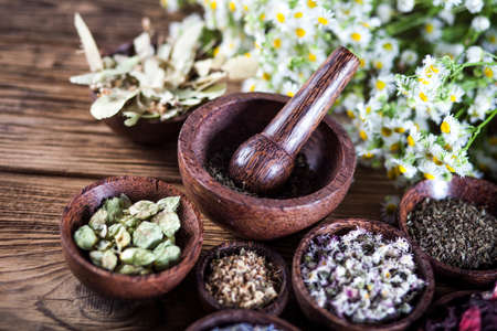 The ancient Chinese medicine, herbs and infusionsの写真素材