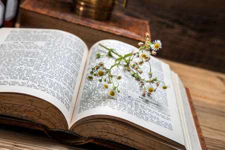 The ancient natural medicine, herbs,  medicines and old bookの写真素材