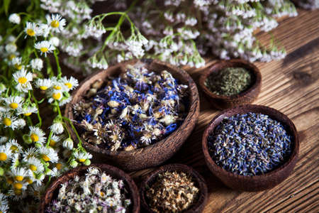 The ancient Chinese medicine, herbs and infusionsの写真素材