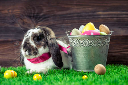 Easter chicken, eggs and decoration in vintage sytle wooden backgroundの写真素材