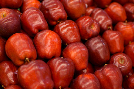 Fresh Organic Red Applesの写真素材