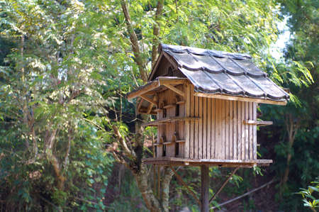 Wood Bird House in the Forestの写真素材