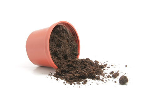 Peat moss with mini potの写真素材