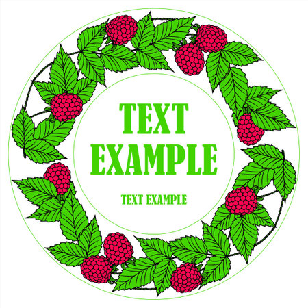 Inscribed in a circle four-color vector frame of raspberry branches with ripe berries with empty space in the center for text.のイラスト素材