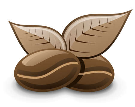 Coffee Bean isolated on white background.のイラスト素材