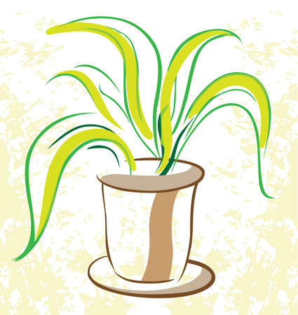 Plant in a flowerpot  indoor.のイラスト素材