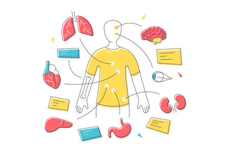 Human body organ systems and general anatomyのイラスト素材