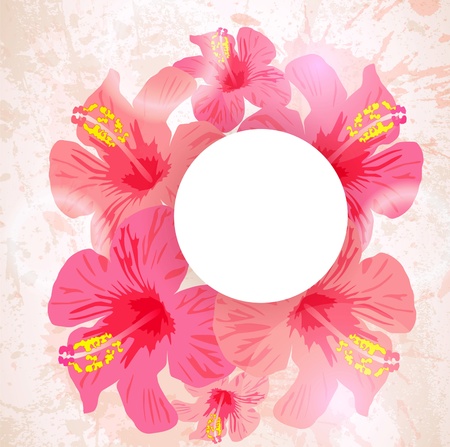 Abstract tropical background. Hibiscus flower for design.のイラスト素材