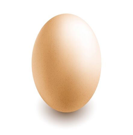 egg on white backgroundのイラスト素材
