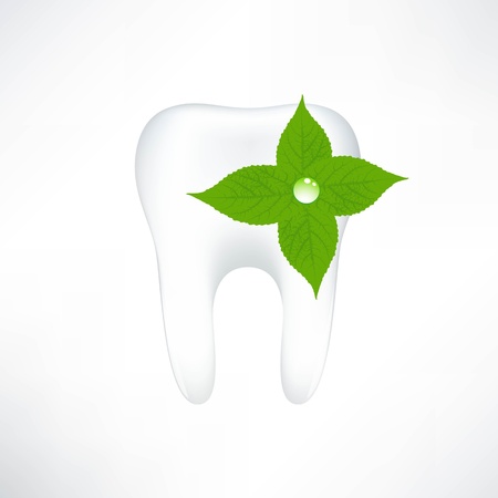 Tooth  On White Background  Vector Illustrationのイラスト素材