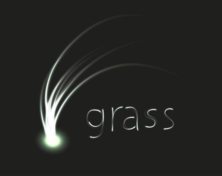 grassの写真素材