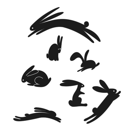 Rabbitの写真素材
