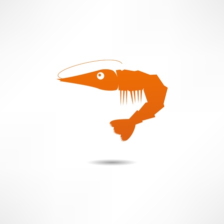 Shrimpのイラスト素材