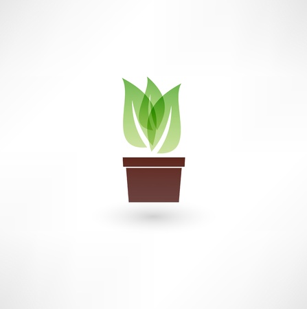 Flower in a pot iconのイラスト素材