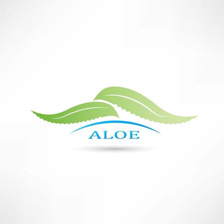creative aloe iconのイラスト素材