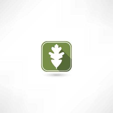 oak leaf iconのイラスト素材