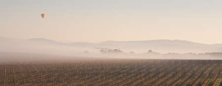Hot Air Balloon at Sunrise over the Yarra Valley In Winterの写真素材