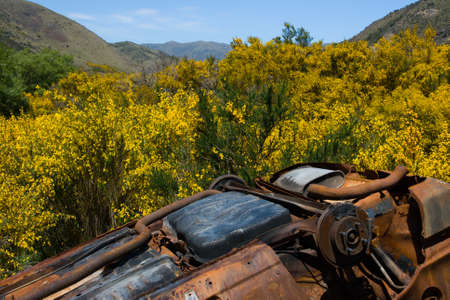A car is dumped and left to rust near Arthur's Pass in New Zealandの写真素材