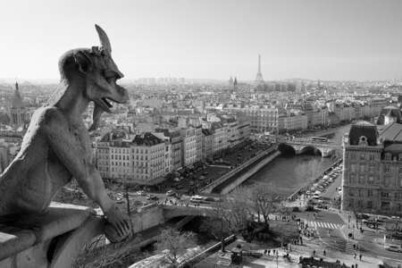 Notre dame gargoyle overlookes the Paris skylineの写真素材