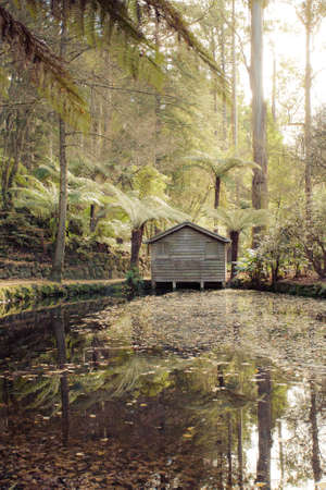 A remote boat house at the Alfred Nicholas Memorial Gardens, Dandenongs, Victoria, Australiaの写真素材