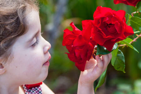 A young girl sniffs flowers in a garden in Australiaの写真素材
